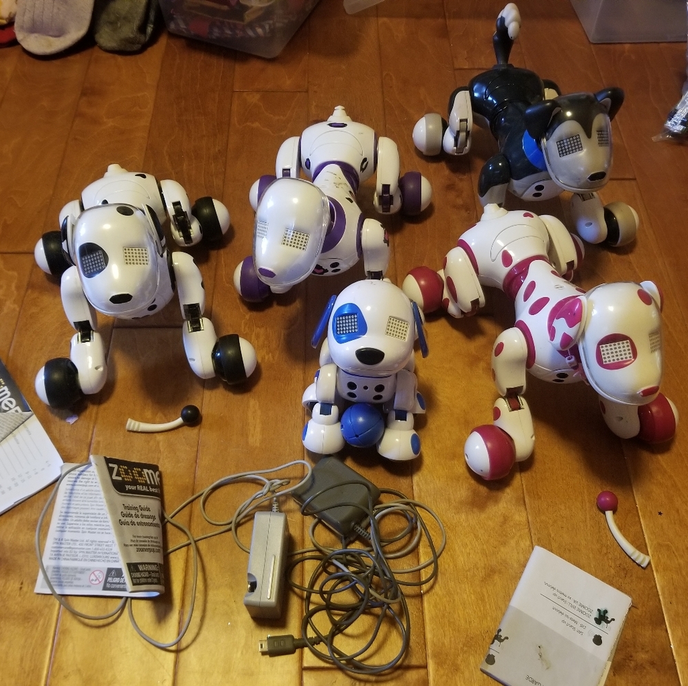 Zoomer dog lot